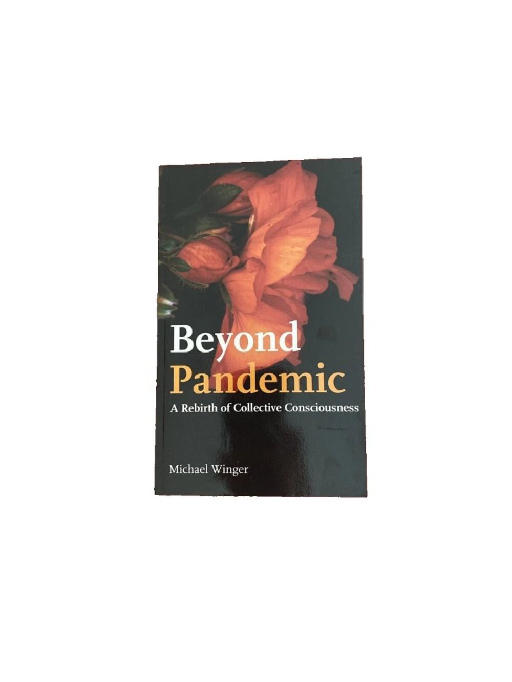 Beyond Pandemic : A Rebirth of Collective Consciousness Michael Winger Paperback